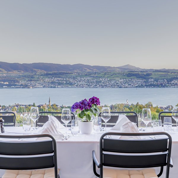 web_zurich_restaurant_boldern_45891