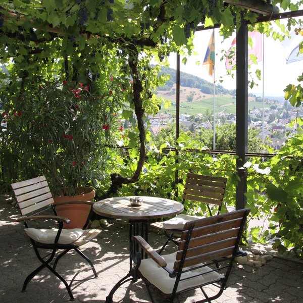 Winzerhaus, Terrasse
