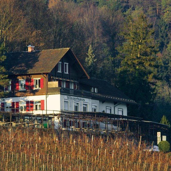 web_zurich_restaurant_winzerhaus_pt_20574_1280x960.jpg