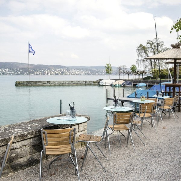 Blick auf den Zürichsee