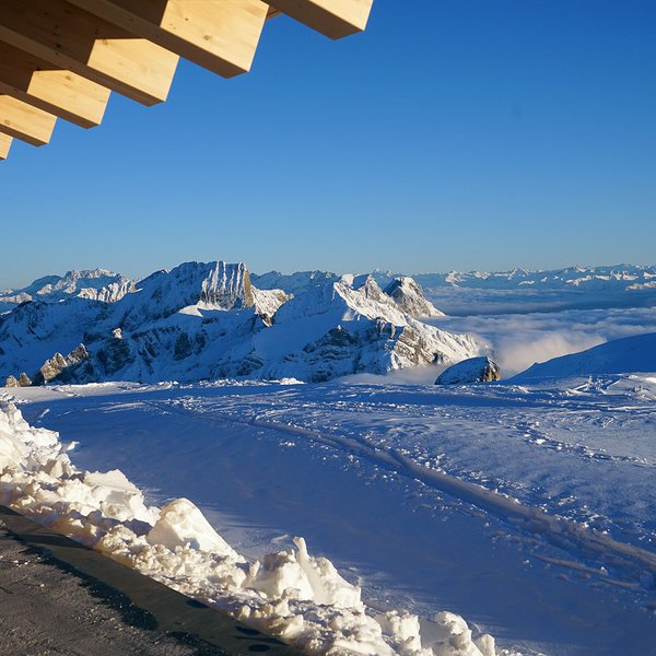 Wunderschöne Aussicht