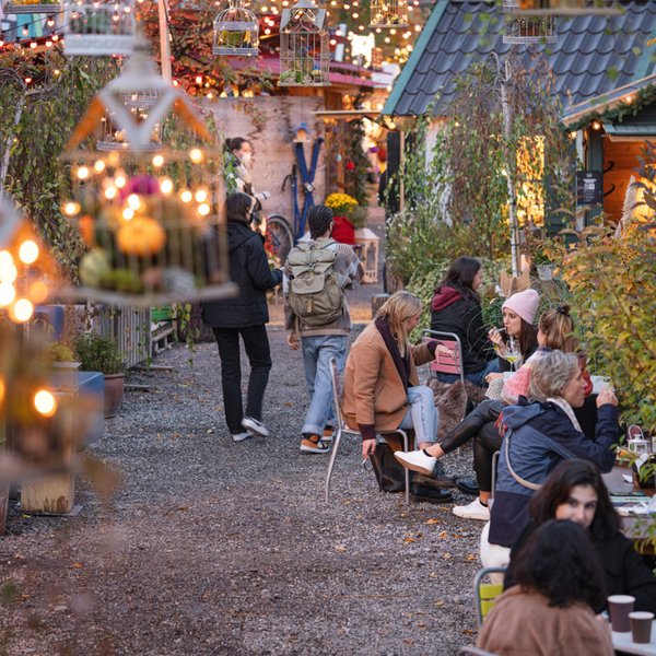 Frau Gerolds Winter-Garten