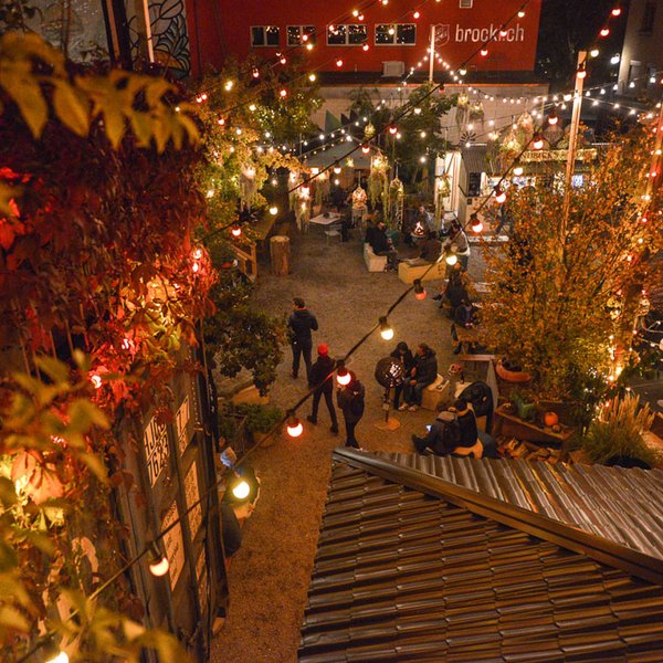 Frau Gerolds Winter-Garten