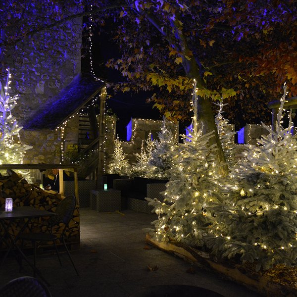 Restaurant Schloss Laufen