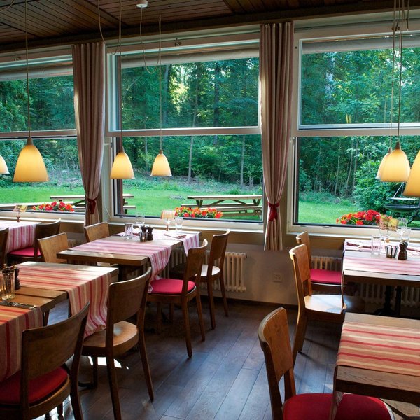 Restaurant Zürich, Wirtschaft Degenried