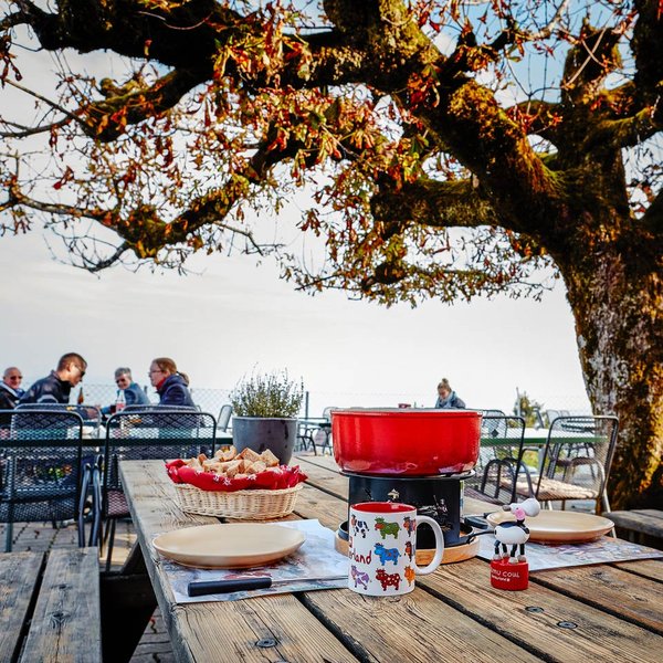 Zürich Panorama Restaurant Felsenegg