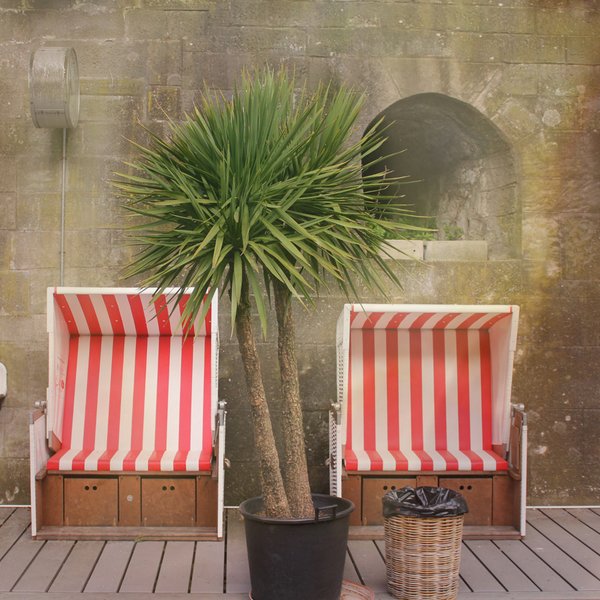 Sitzplatz im Rimini Fluss Zürich