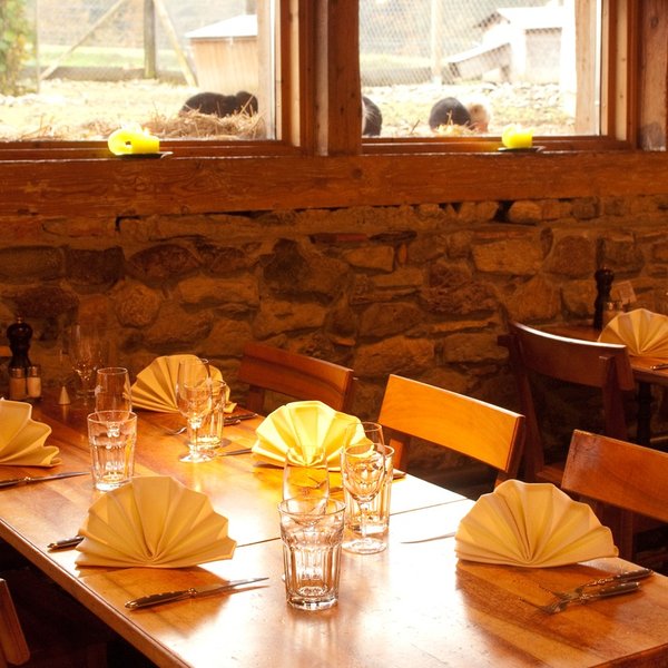 Schweizer Käsespezialitäten