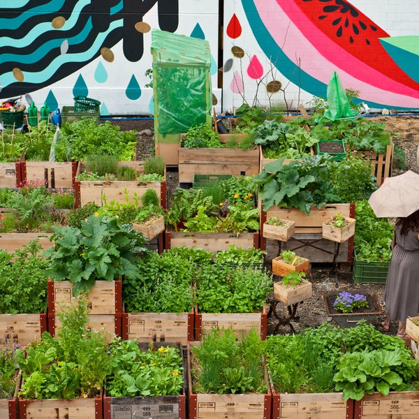 Restaurant Frau Gerolds Garten Zürich 