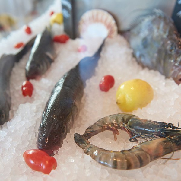 Zurich Restaurant, Bianchi