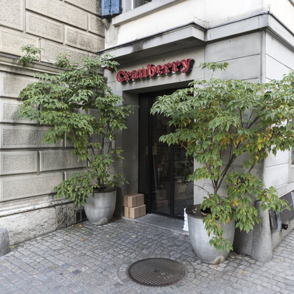 web_zurich_cranberry_bar_11473.jpg